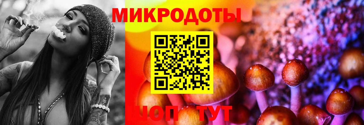 Псилоцибиновые грибы Psilocybe Лосино-Петровский